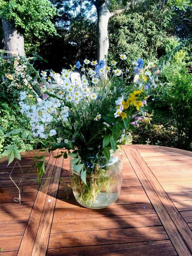 Ferienhaus Dr. Mueller Meißen Eksteriør bilde